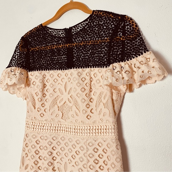 CLUB MONACO Womans Elegant Eyelet Sheath Lace Dress with Ruffle Sleeve Size 4 - Picture 3 of 13